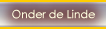 Onder de Linde