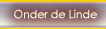 Onder de Lidne